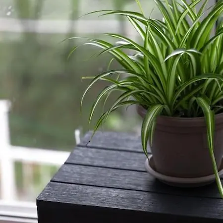 Best Dubrovnik Apartment